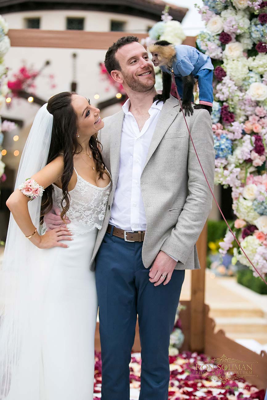 Bride and groom portrait with their pet monkey on the groom's shoulder
