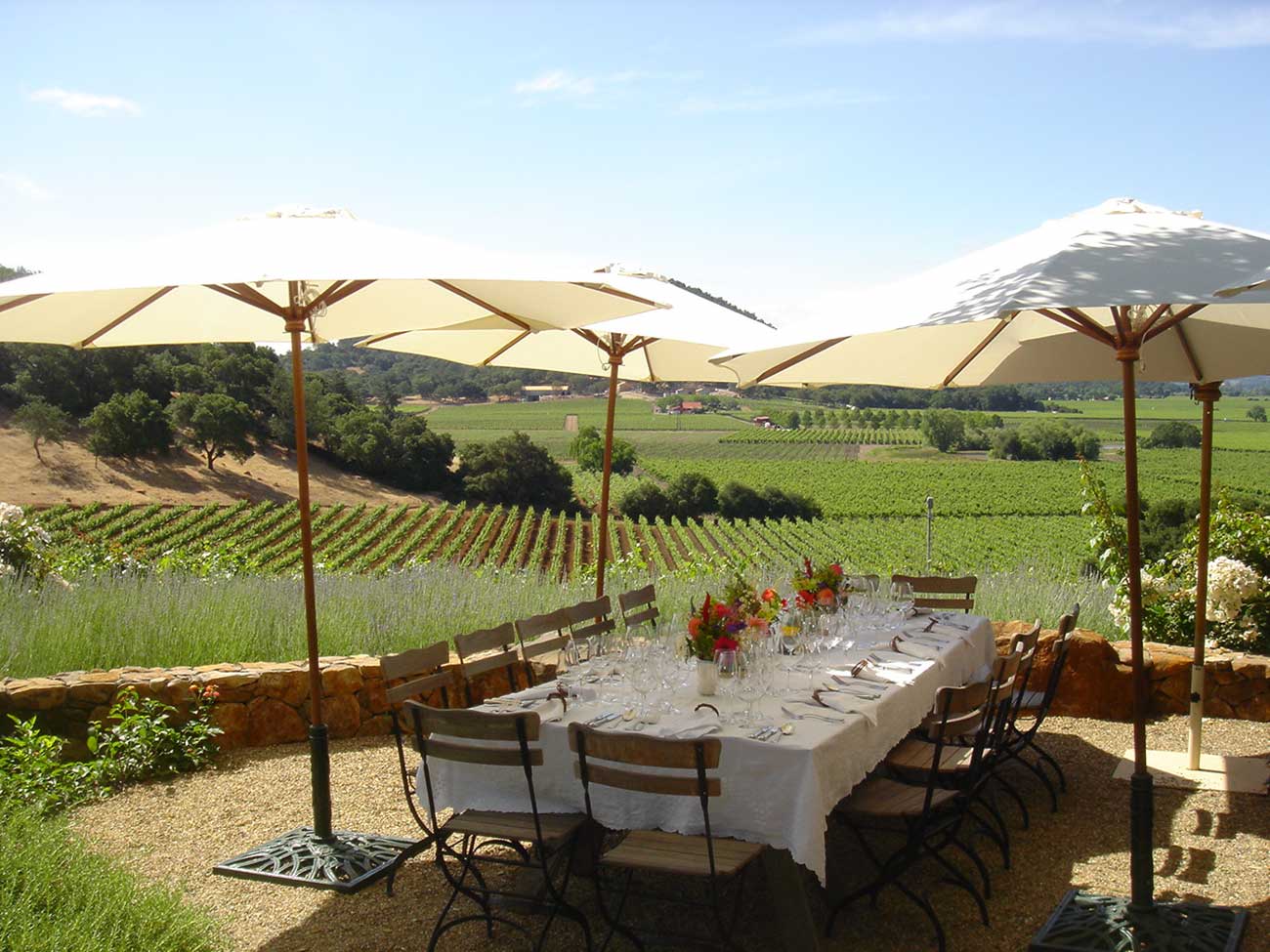 Tabletop design with crystal and flowers overlooking a vineyard in Napa valley